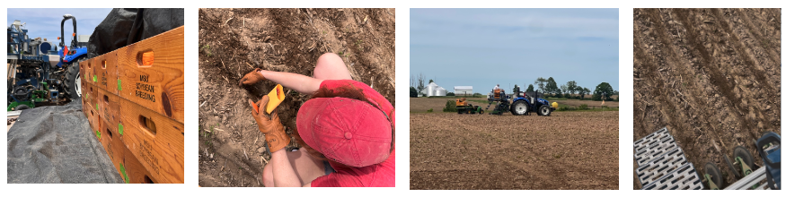 PlantingSeasonRectangle.png