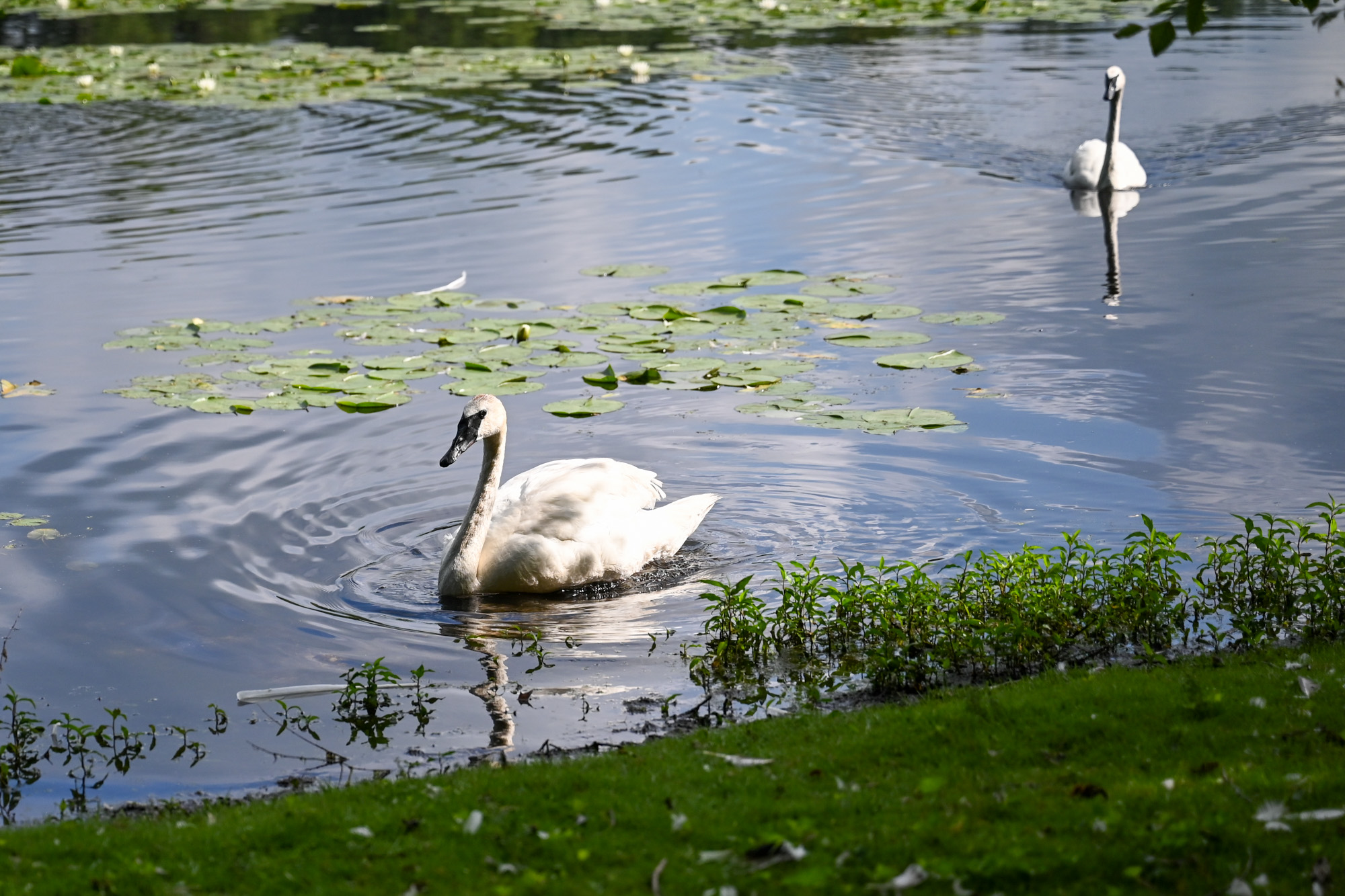 DSC_1247.jpg
