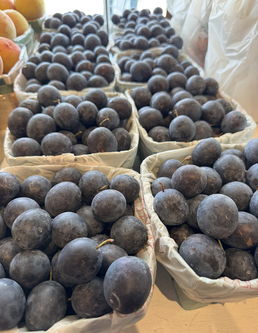Damson plums for sale