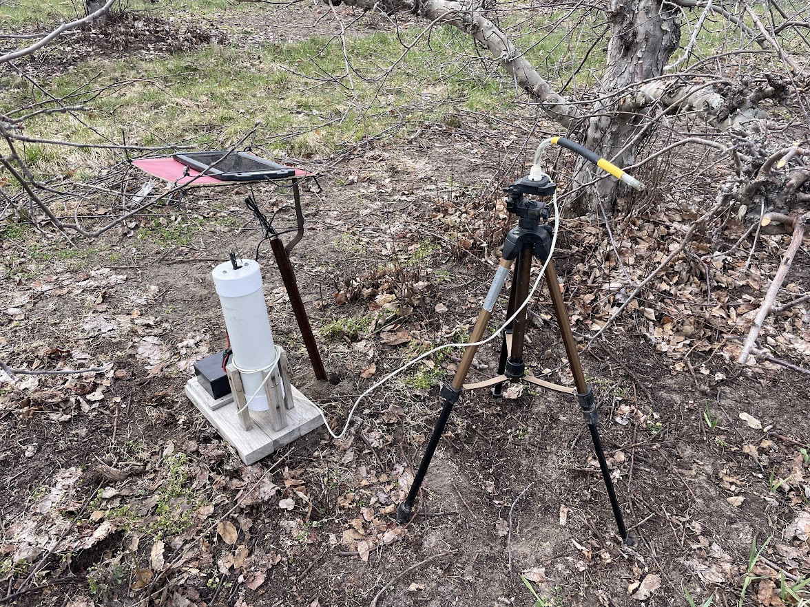 An apple scab spore trap installed in an apple orchard.