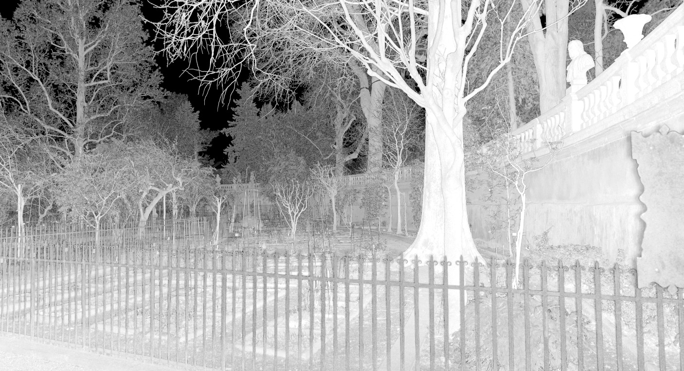 Laser.scan.botantical.gardens.jpg