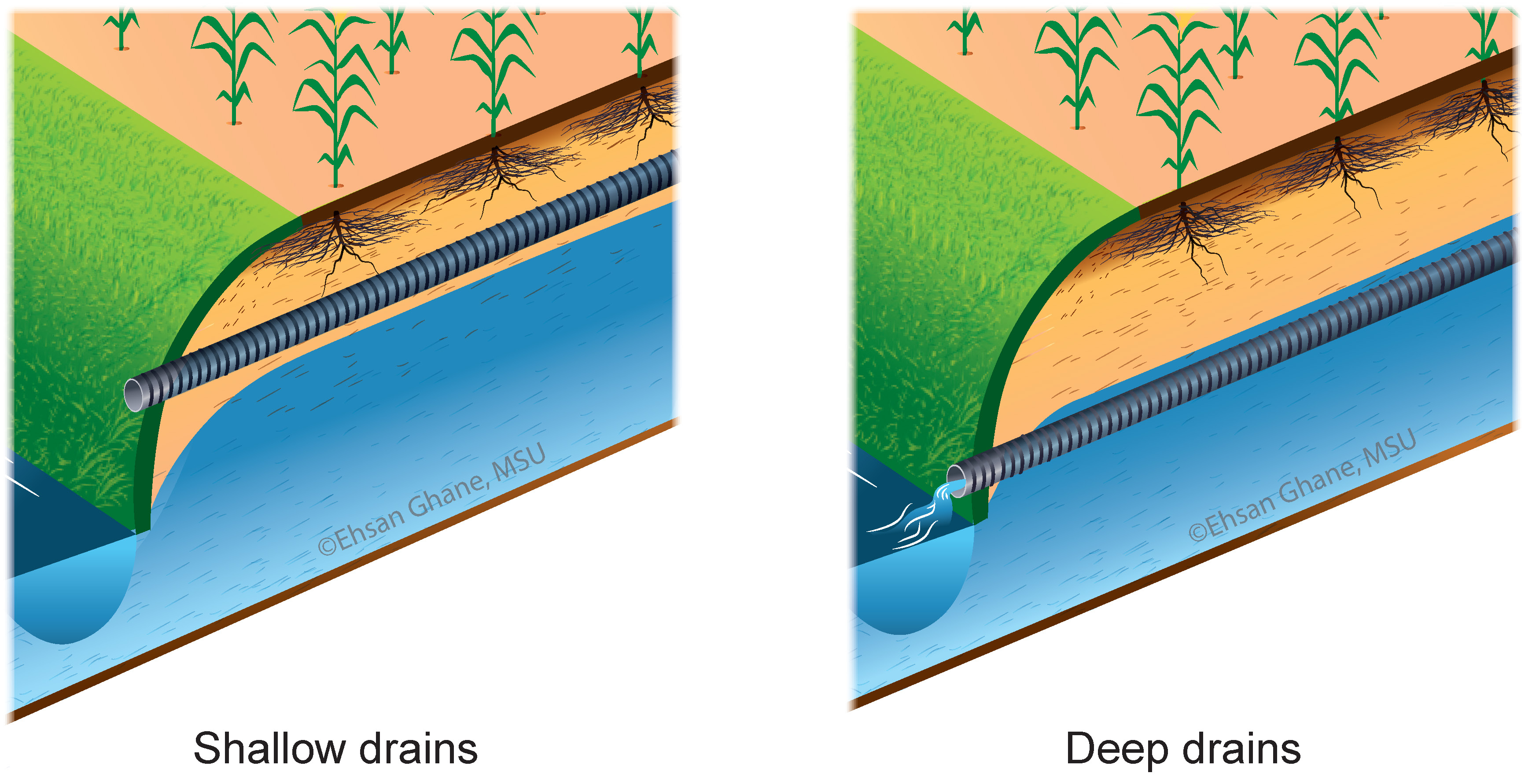 Shallow drains have fewer days of flow over the year, and they remove less annual drainage discharge than deep drains.
