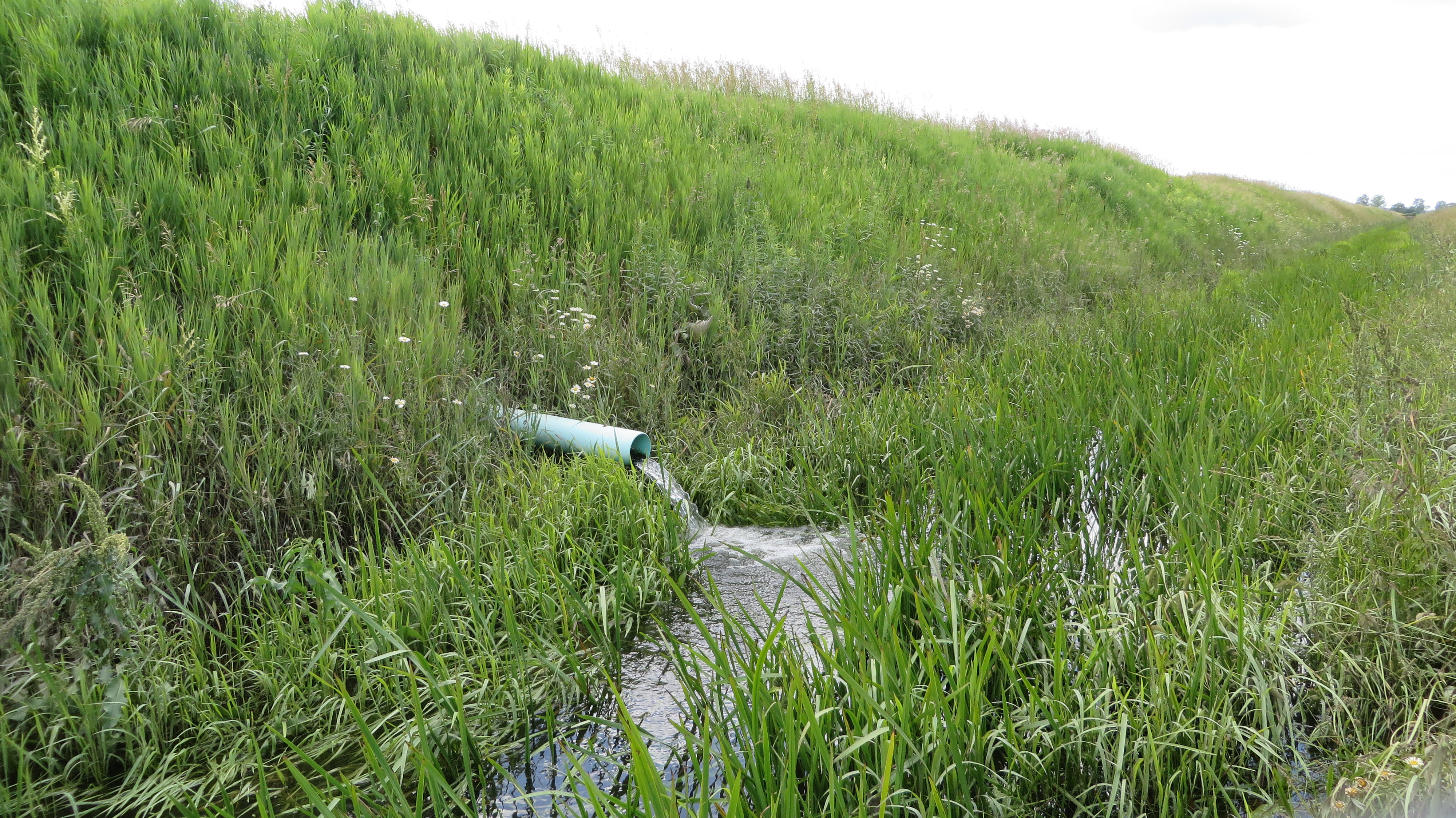 Photo of a drainage pipe