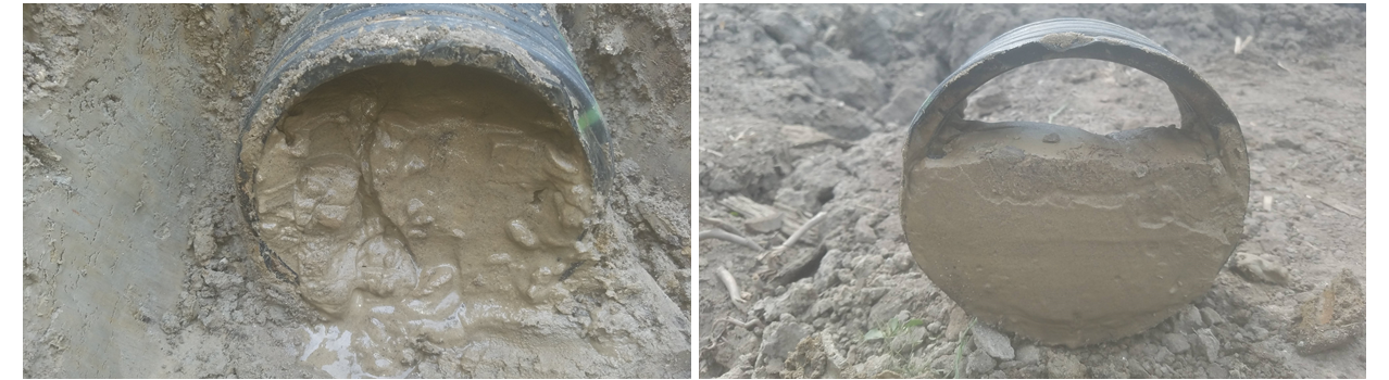 Figure 2- Photos of a 6-inch main installed in 2013 and was 2/3 filled with sand in 2020. The use of regular-perforated pipes in sandy loam soil was the cause of drain sedimentation (photo credit: William Word).