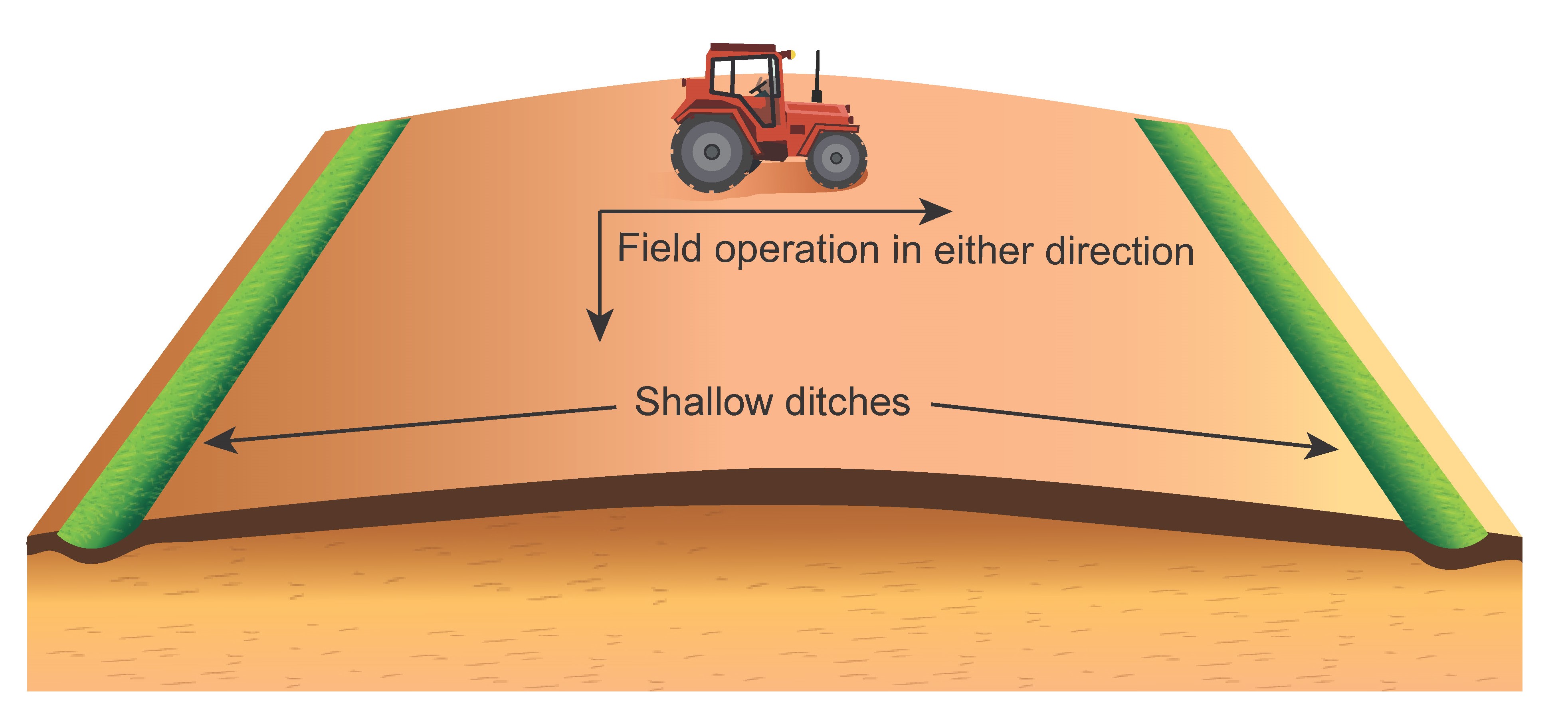 Figure 3- Diagram of vegetated shallow ditches with a crowned soil in between the ditches.