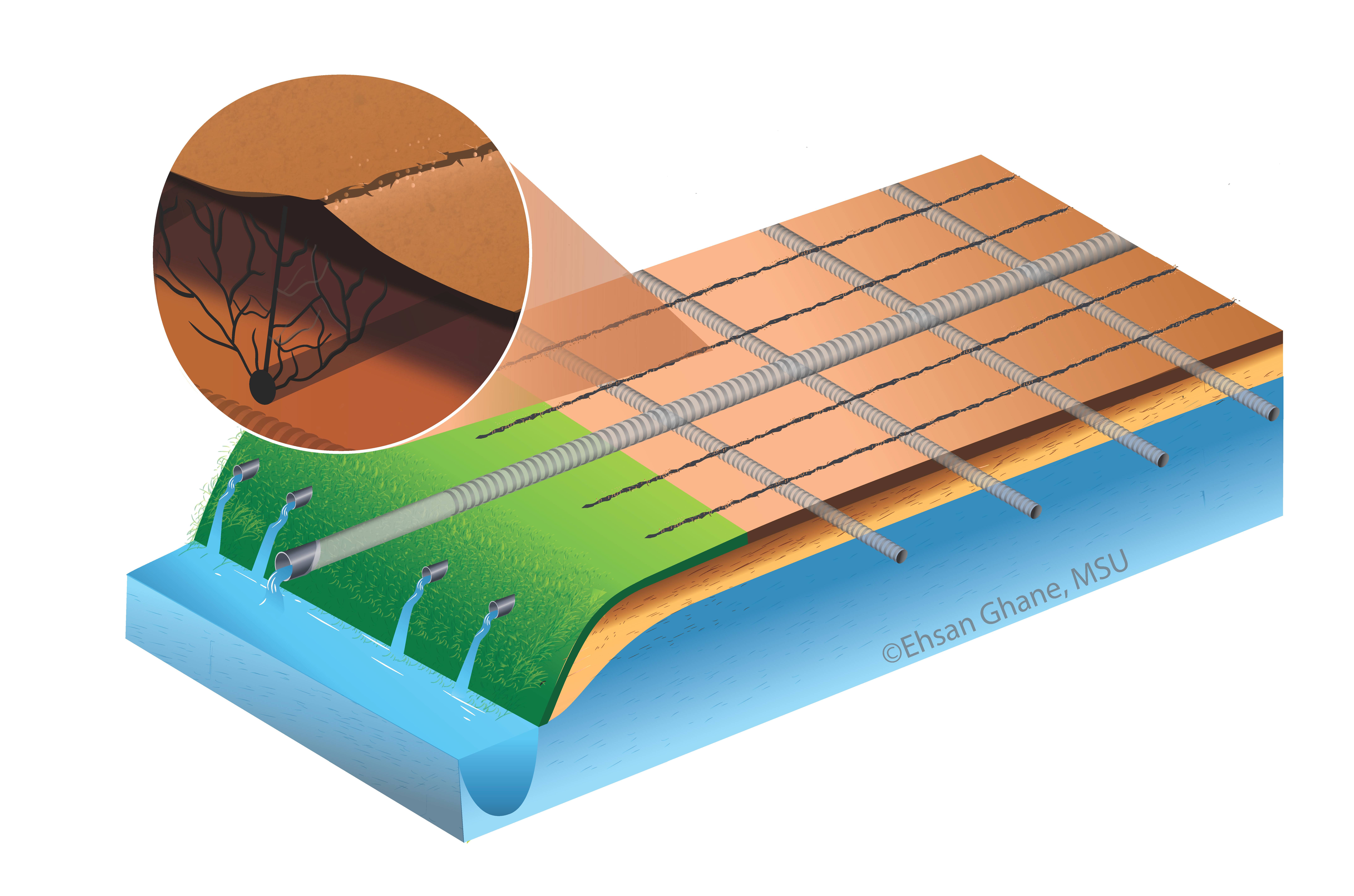 In the first method, the mole channels empty into an open ditch because the landscape slopes toward the ditch. The mole channels create cracks in the soil that serve two purposes: facilitating water movement toward the drain pipes and moving water toward the ditch.