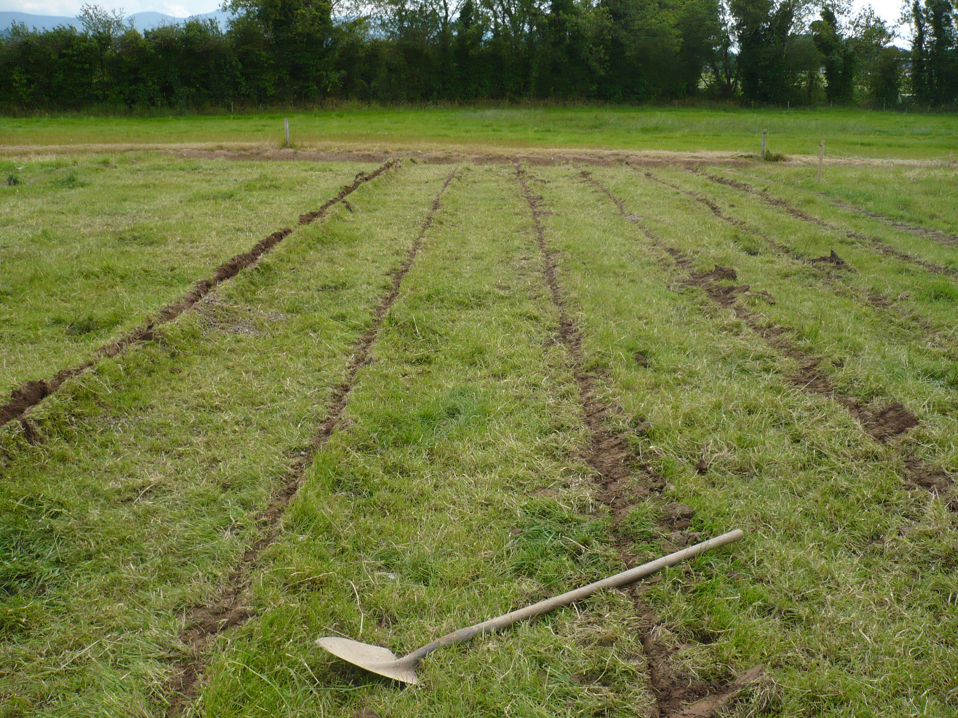 A mole drain with 4-ft spacing. Note that the 4-ft spacing may result in the desired spacing of 8 ft or wider assuming some of the mole channels will fail (Photo credit: Patrick Tuohy).