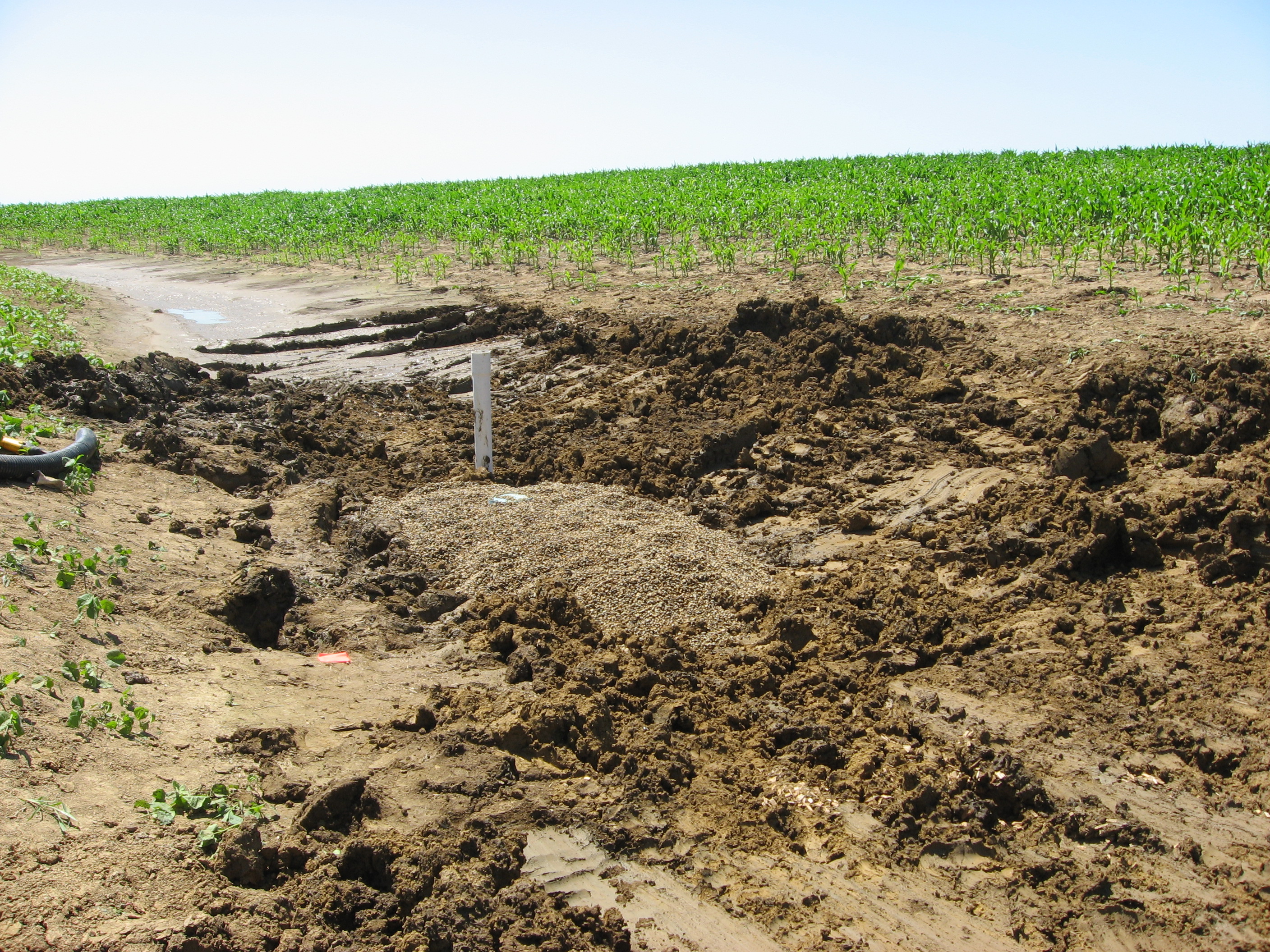 The slotted pipe of the surface inlet was erplaced with a solid PVC pipe. (photo credit: Christopher G. Wilson).