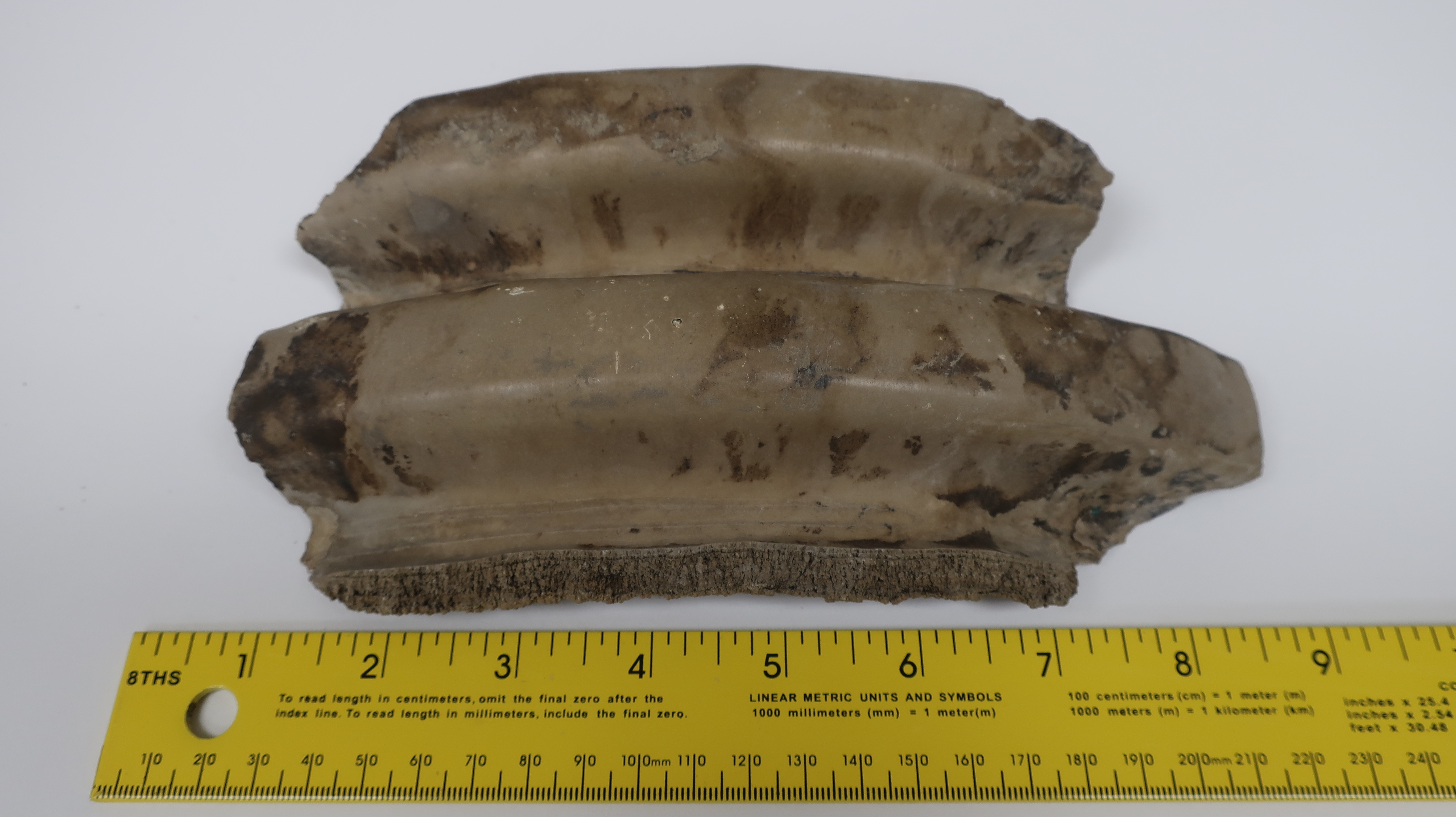 Figure 5- A thin hard-pan layer of calcium carbonate that clogged a 20-inch corrugated main pipe. Sediment layers accumulated on top of the hard-pan layer over time. Sample is from southwest Minnesota (near Canby, MN), a few miles from a calcareous fen (sample was provided by Stu Frazeur).