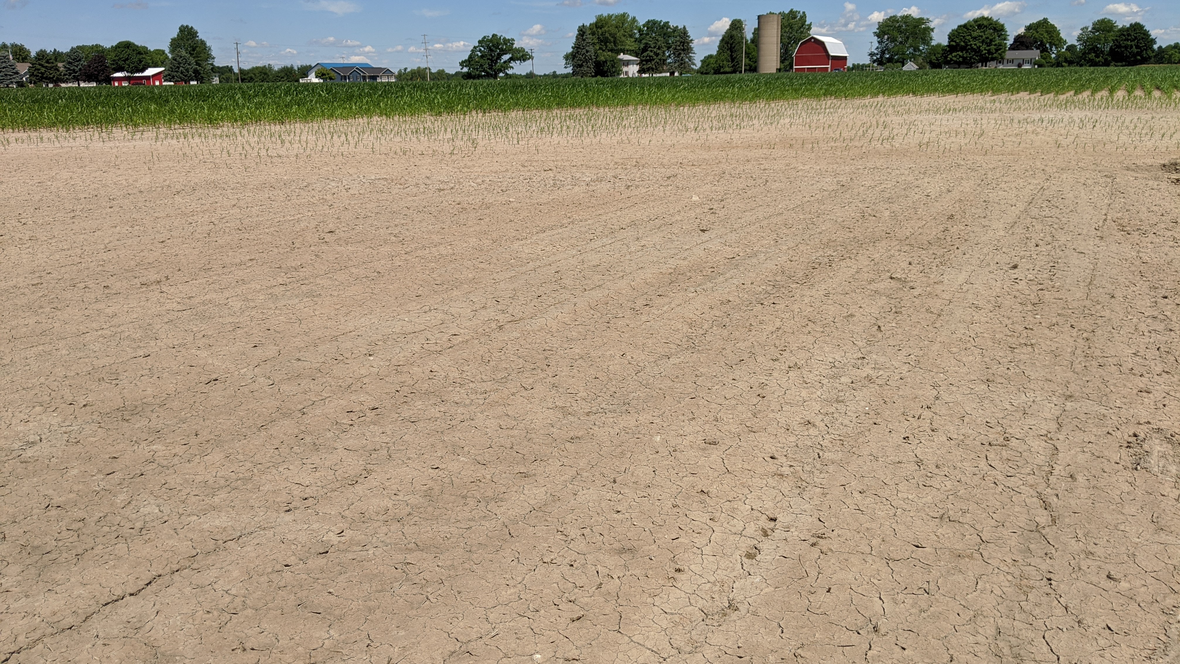 Left: A soil surface with a failed germination. Right: A close-up of the same soil surface showing soil dispersion and crusting caused by mineral imbalance and raindrop impact (photo credit: Zouheir Massri).