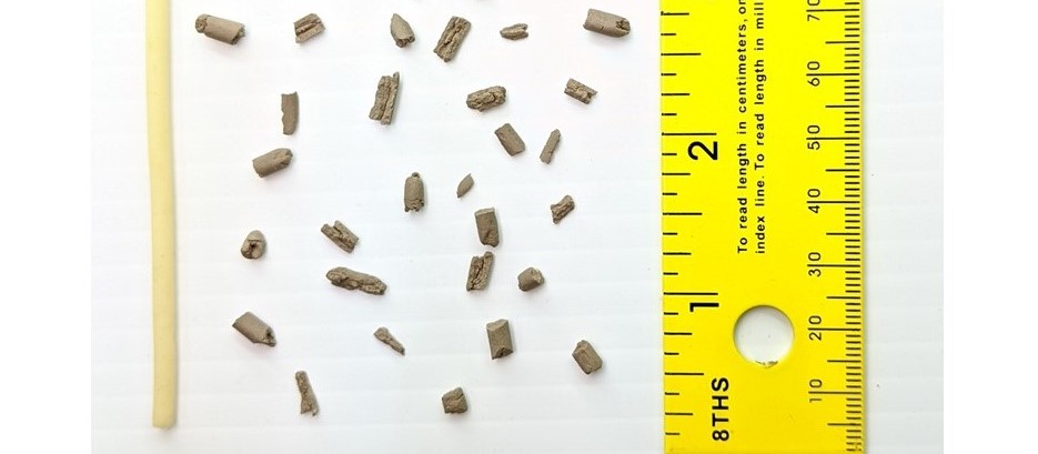 Barrel-shape soil crumbles made during the rolling process. During the rolling process, if the thread crumbles into barrel-shape pieces before reaching the 1/8” diameter, the soil is dry enough for moling. The item on the left is a bucatini pasta with a 1/8” diameter after soaking in water, which can be used as a reference for the desired 1/8” diameter (photo credit: Zouheir Massri).