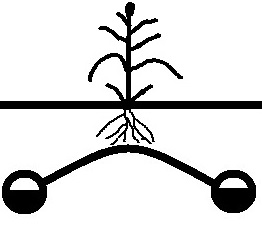 Icon of roots