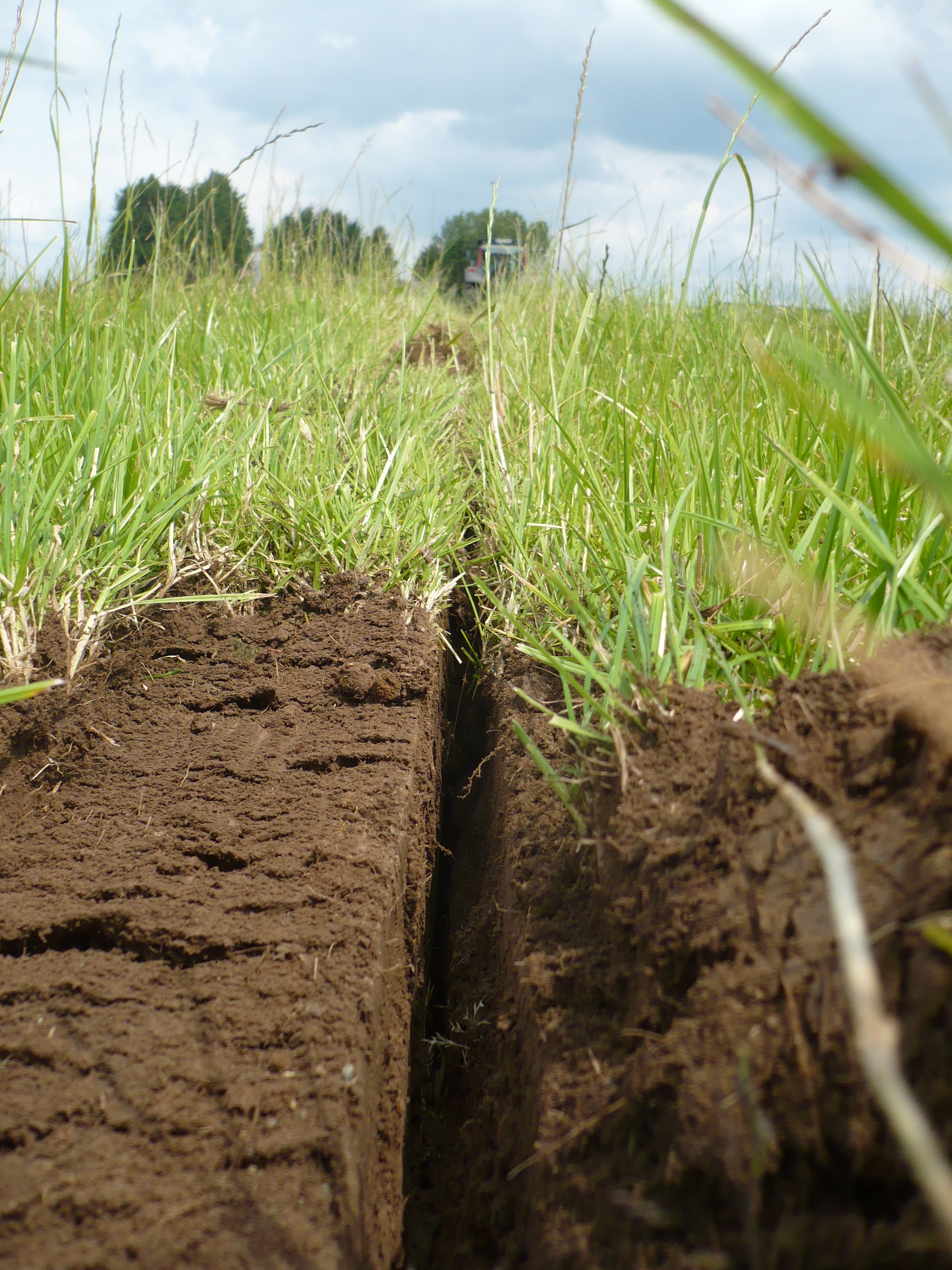 After the tractor pulls the mole plow, a soil crack forms to improve infiltration (Photo credit: Patrick Tuohy).