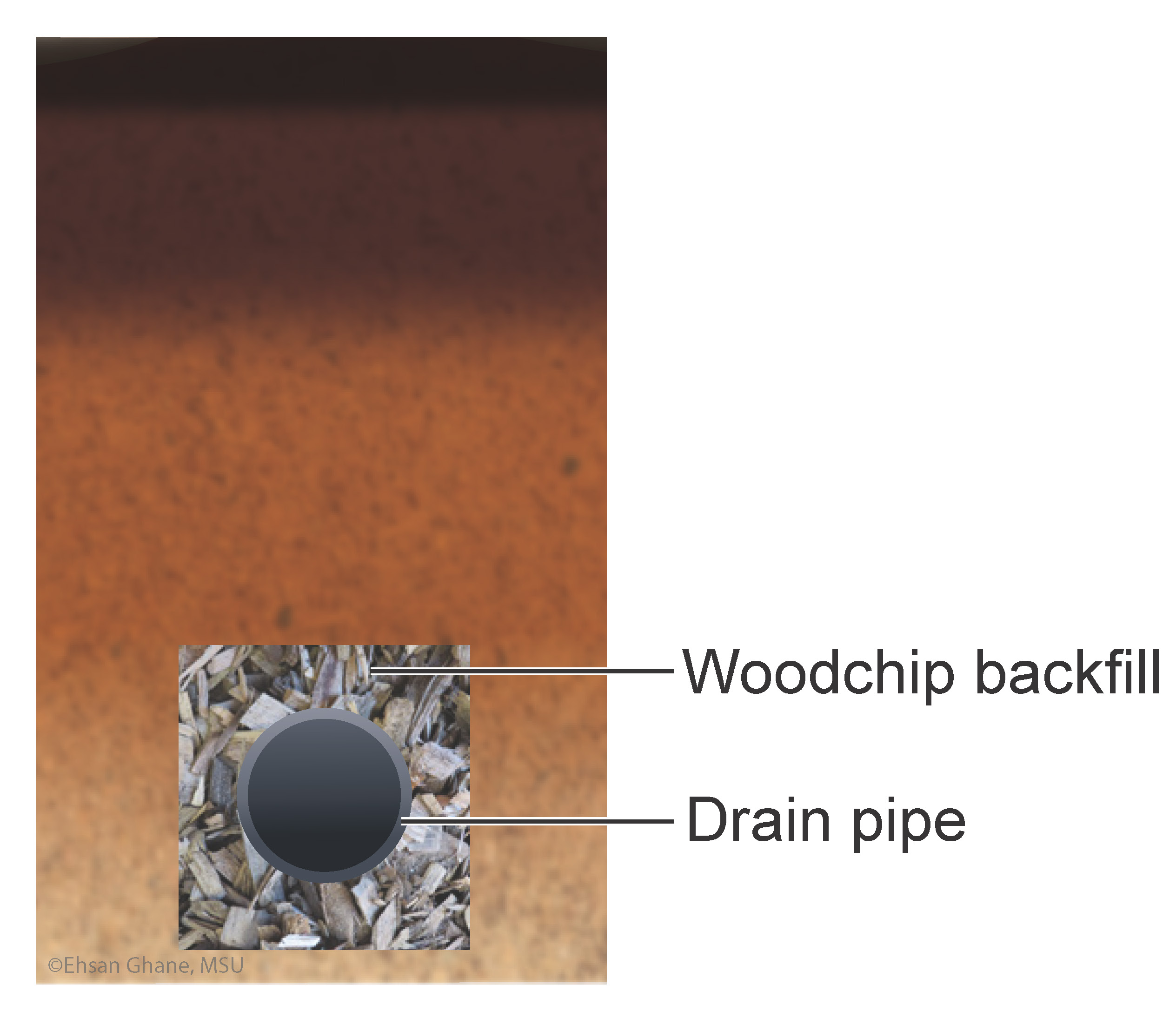 Figure 7- A drain pipe backfilled with woodchips to reduce ochre clogging.