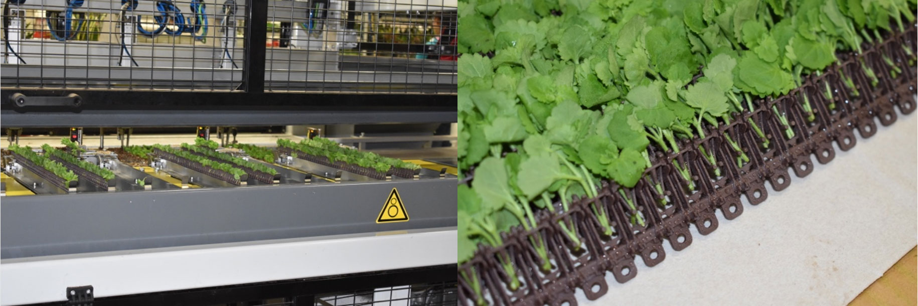 Visser Autostix system