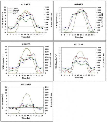 Daily NCER at 41, 66, 91, 127, and 155 DAFB.