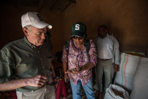 'MSU's Jim Kelly (left) and research assistant Gerardine Mukeshimana inspect harvested beans at a farm in the Gicumbi district with Edouard Murwanashyaka (right), a research technician from the Rwanda Agriculture Board'