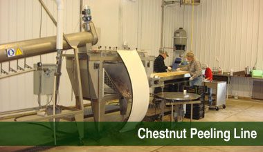 Chestnut peeling line