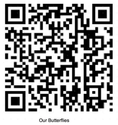 Butterfly QR code