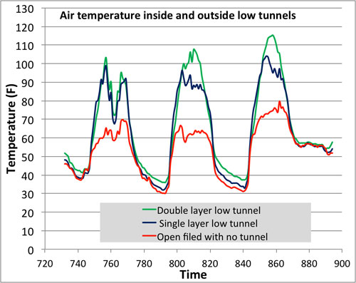 Effect of low tunnels on temperature Effect of low tunnels on temperature