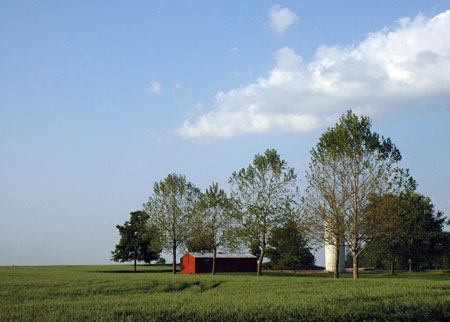 Leaf Recovery Leaf Recovery