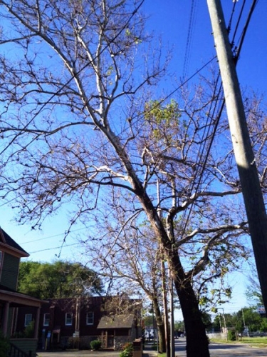 Severity of stress Severity of stress