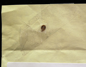 Worthless specimen taped to paper. Worthless specimen taped to paper.