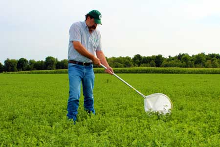 Fred Springborn with sweep net Fred Springborn with sweep net