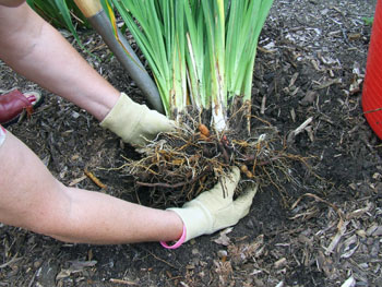 Seperate into pieces Seperate into pieces