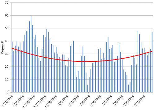 Corn flea beetle survial graph