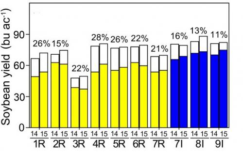 Soybean graph