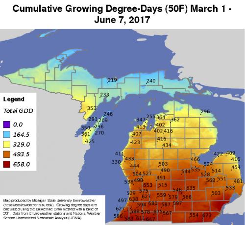  Cumulative growing degree days (GDD, base 50/max 86) from March 1 &ndash; June 7, 2017, from MSU&rsquo;s Enviroweather website.